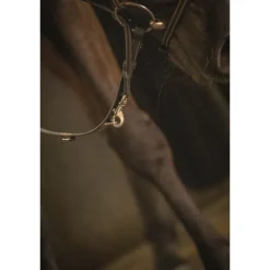 Rênes Howlett en Cuir - Noir