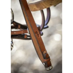 Rênes tressées US - Noisette